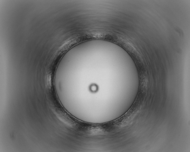 X0000112110262200908181354