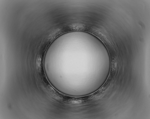 X0000112110263200908181354