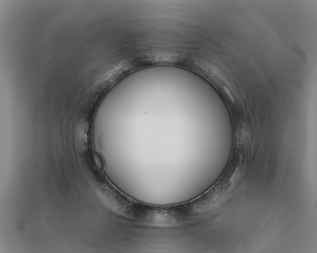 X0000112110264200908181354