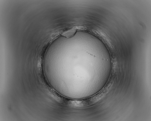 X0000112110265200908181354