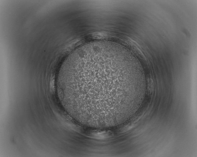 X0000112110267200908181354