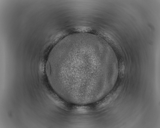 X0000112110268200908181354