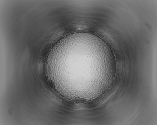 X0000112110269200908181354