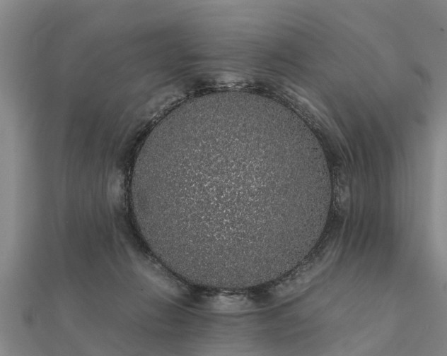 X0000112110270200908181354