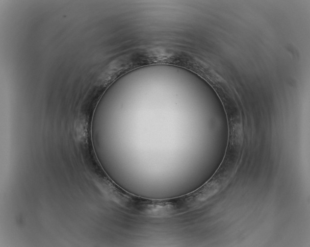 X0000112110274200908181354