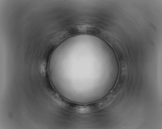 X0000112110275200908181354