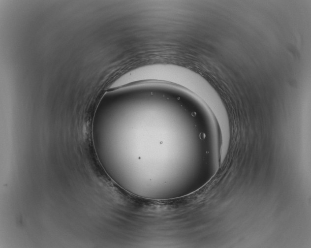 X0000112110276200908181354