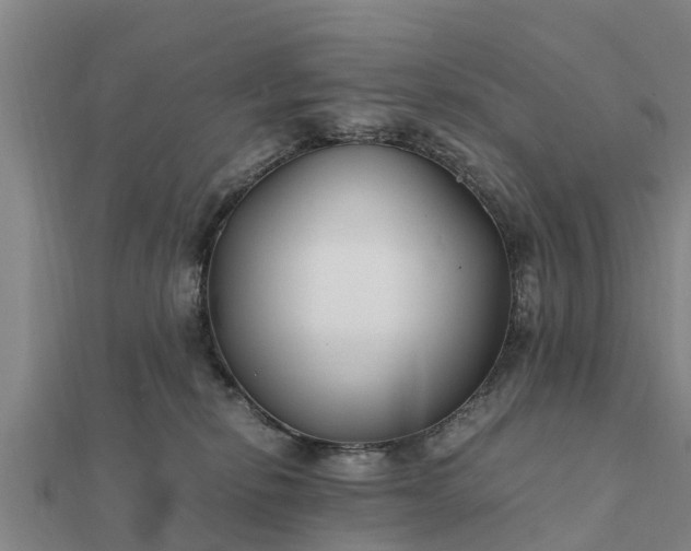 X0000112110278200908181354