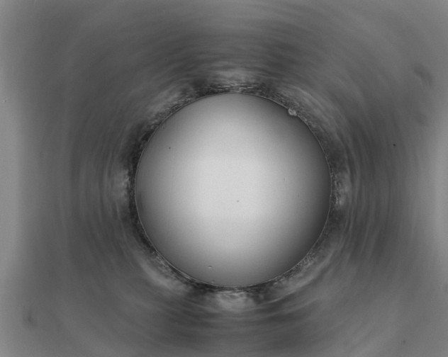 X0000112110279200908181354