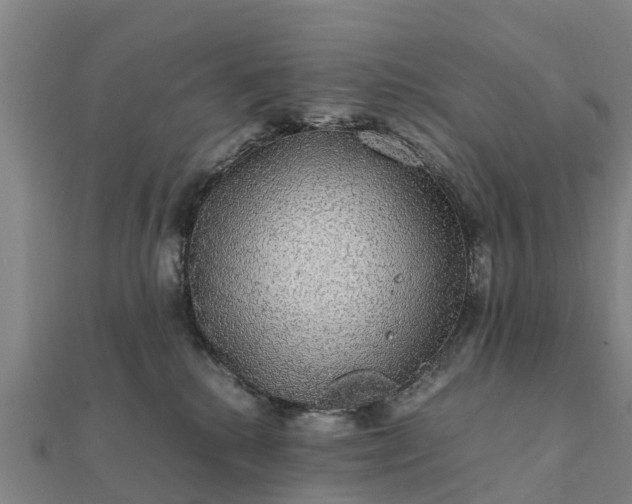 X0000112110280200908181354