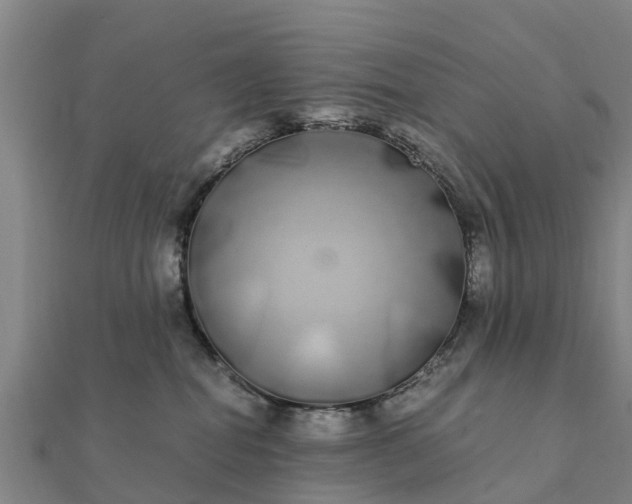 X0000112110282200908181354