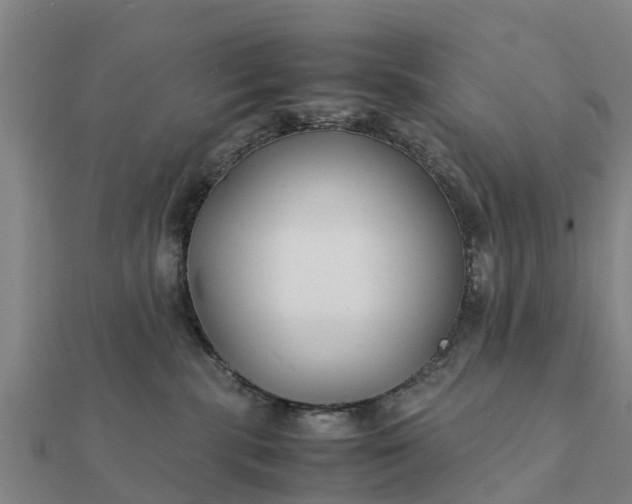 X0000112110283200908181354