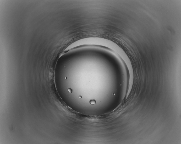 X0000112110284200908181354