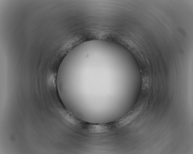 X0000112110286200908181354