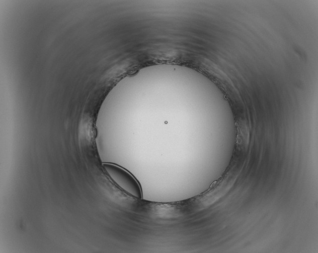 X0000112110287200908181354