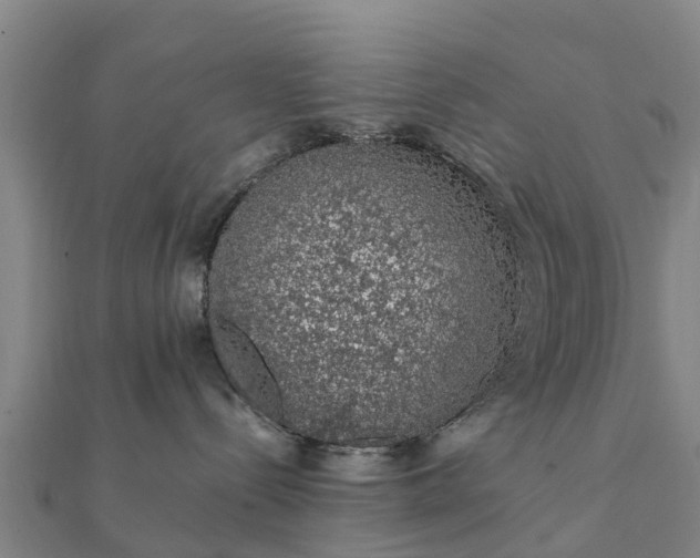 X0000112110288200908181354