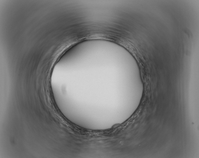 X0000112110289200908181354