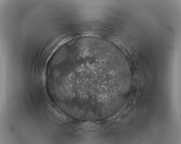 X0000112110290200908181354