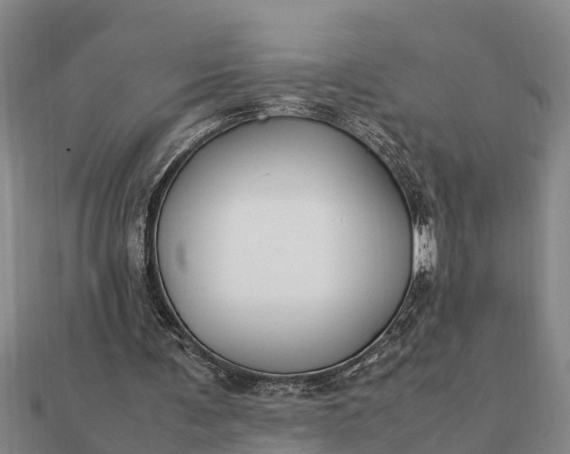 X0000112110291200908181354