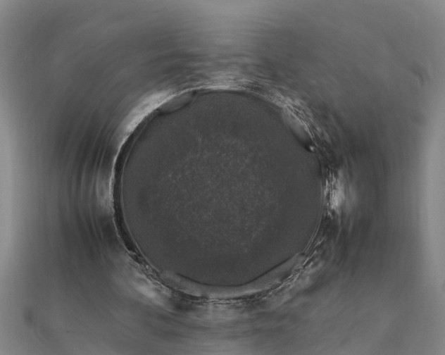 X0000112110292200908181354