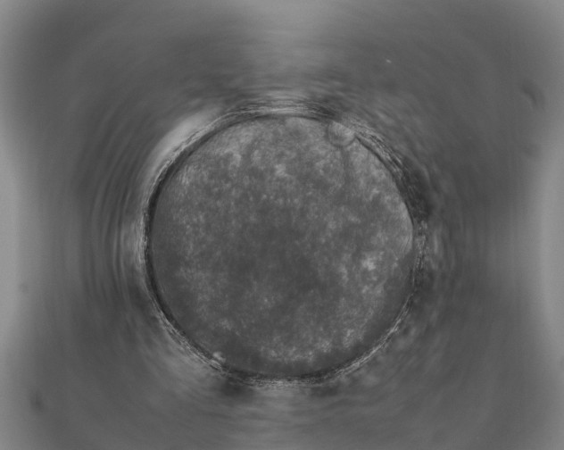 X0000112110293200908181354