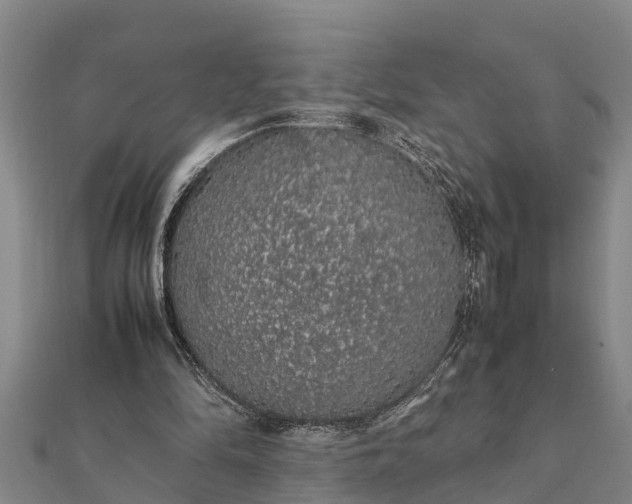 X0000112110294200908181354