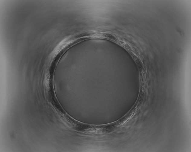 X0000112110295200908181354