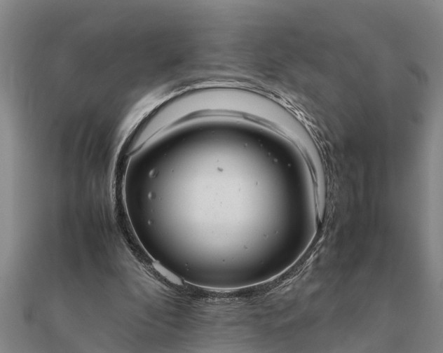 X0000112110296200908181354