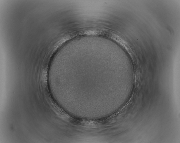 X0000112110297200908181354