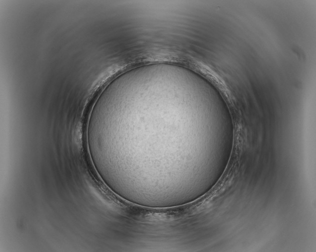 X0000112110298200908181354