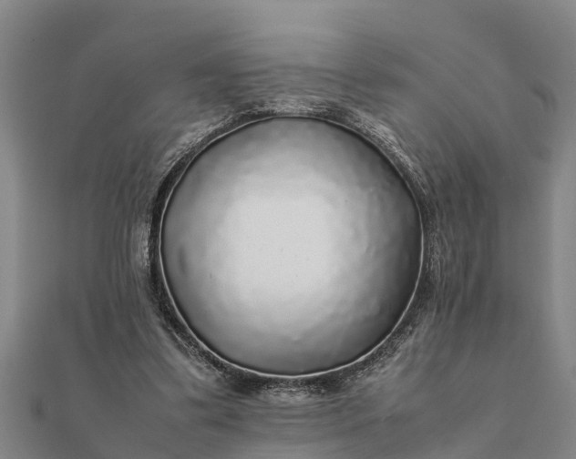 X0000112110299200908181354