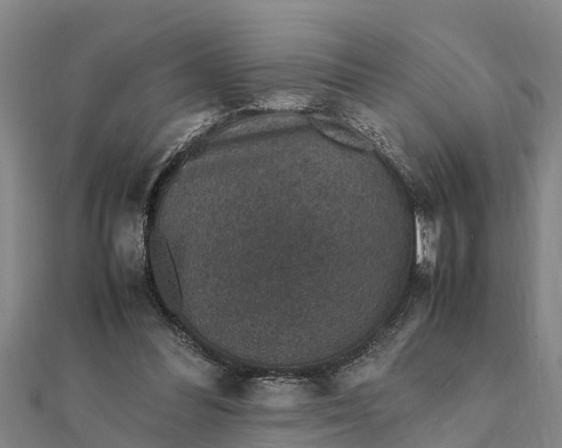 X0000112110300200908181354