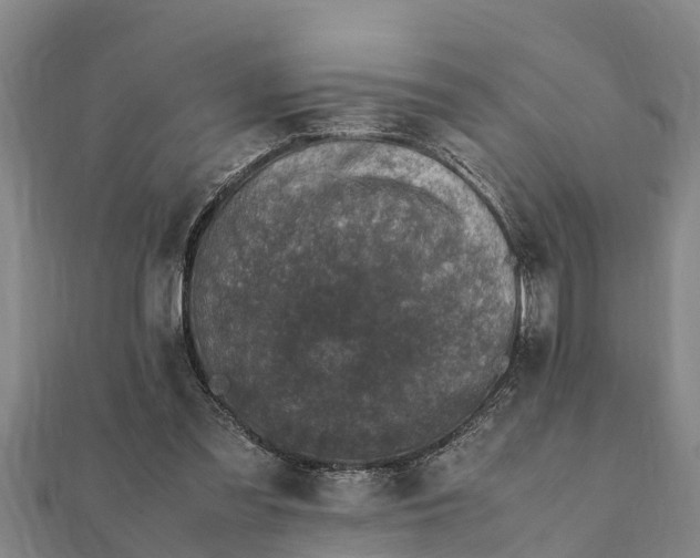 X0000112110301200908181354