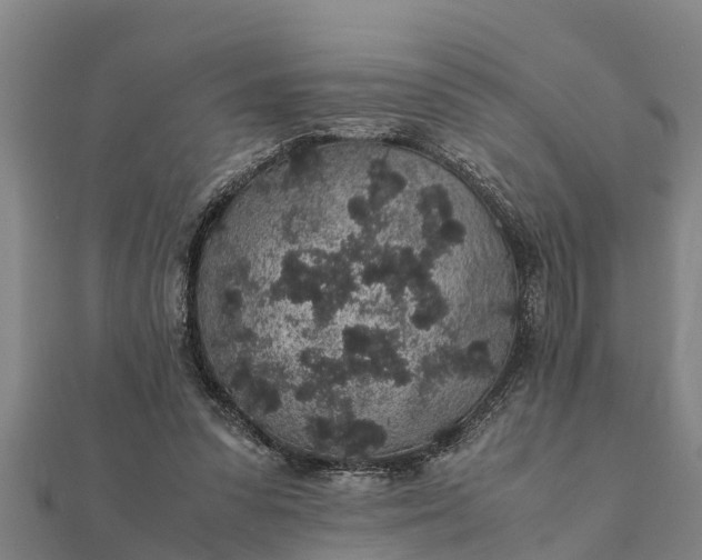 X0000112110303200908181354