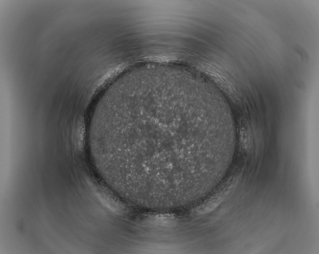 X0000112110304200908181353