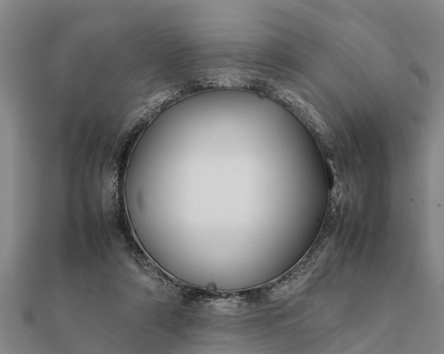 X0000112110306200908181353