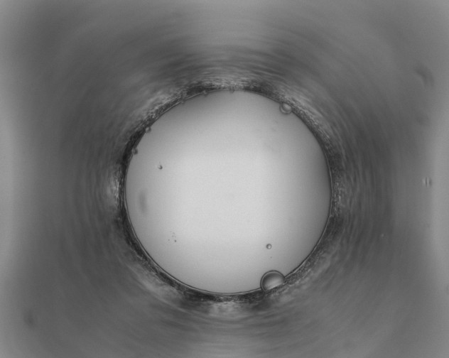 X0000112110309200908181353