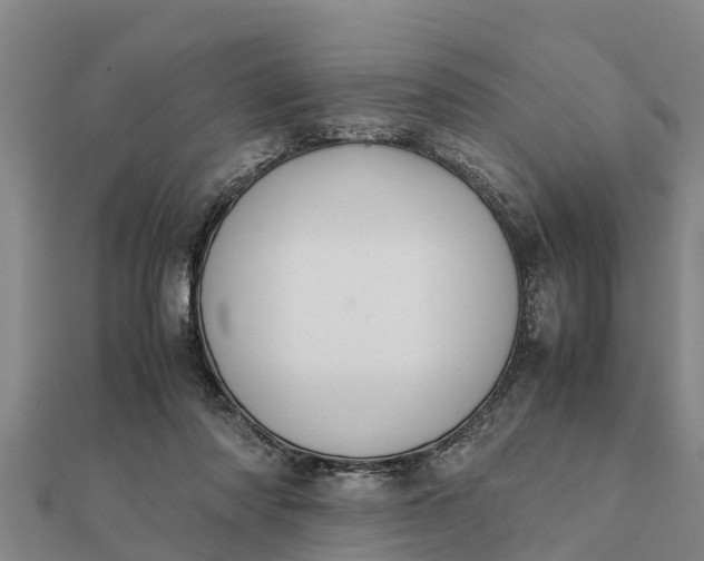 X0000112110310200908181353