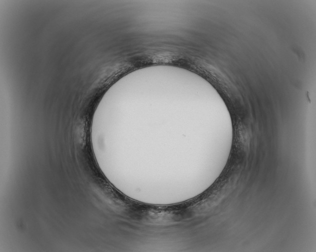 X0000112110311200908181353