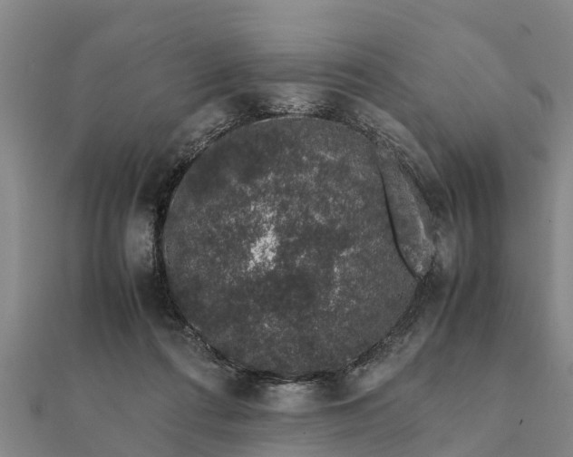 X0000112110312200908181353