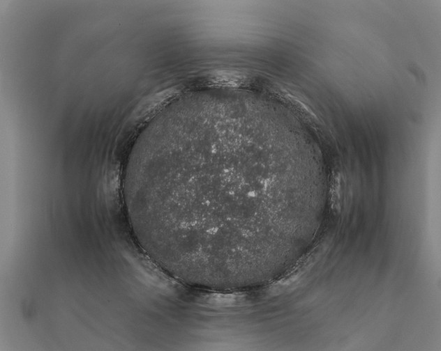 X0000112110314200908181353