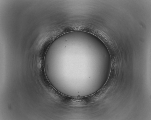 X0000112110315200908181353