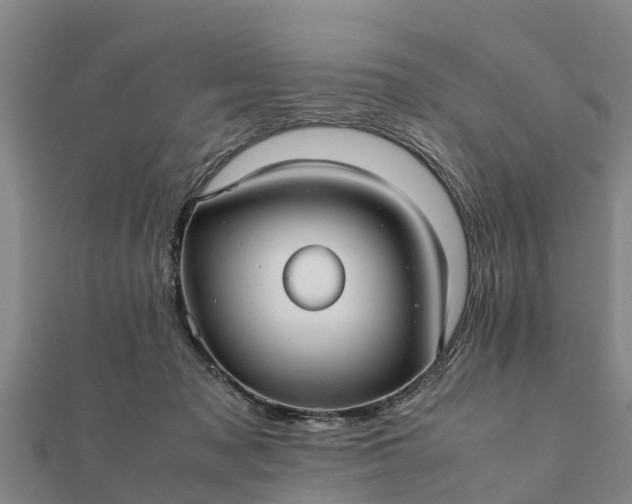 X0000112110317200908181353