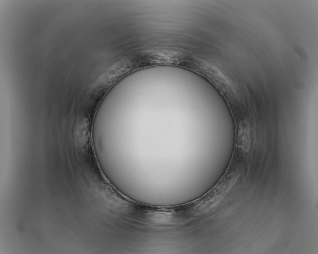 X0000112110318200908181353