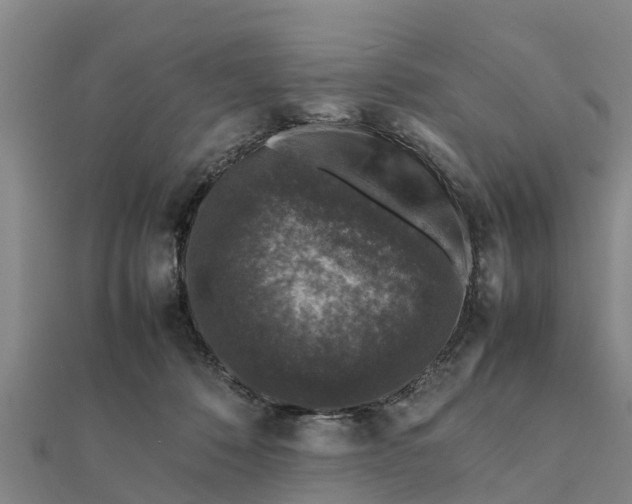 X0000112110320200908181353