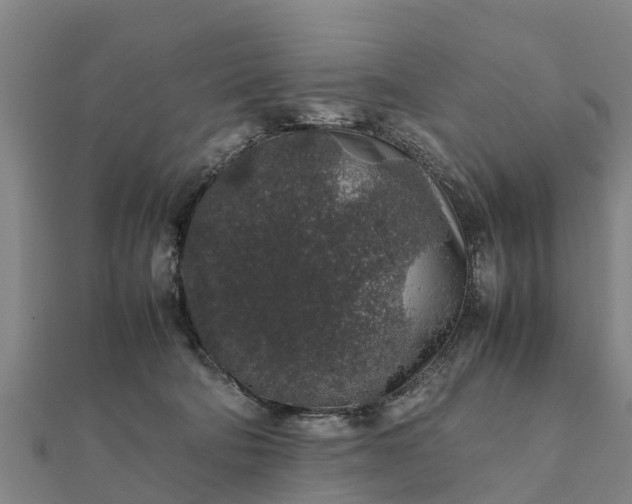 X0000112110322200908181353