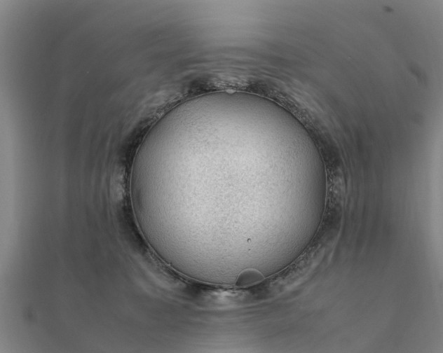 X0000112110323200908181353