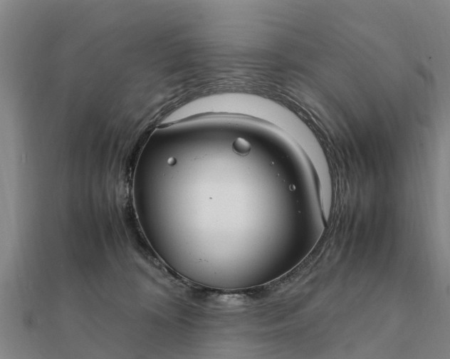 X0000112110324200908181353