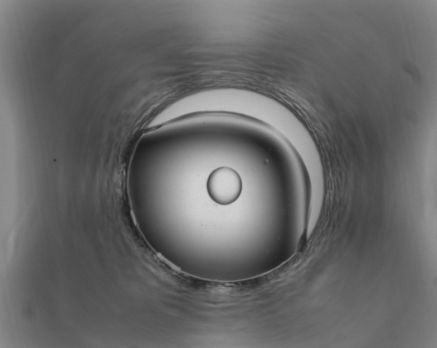 X0000112110325200908181353