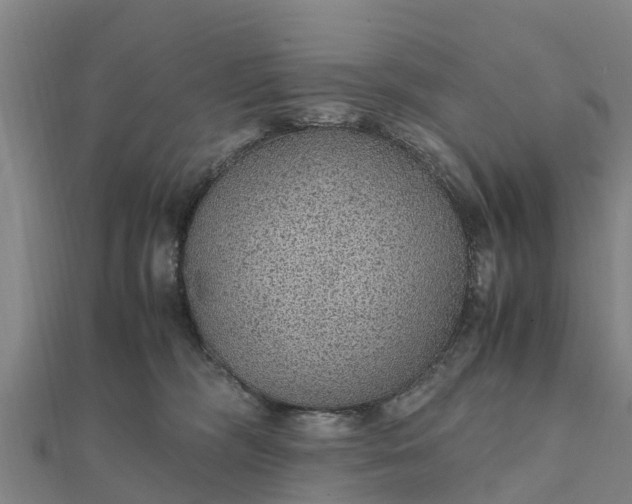 X0000112110326200908181353